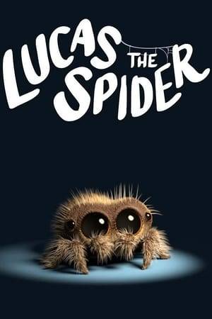 Follow the adventures of Lucas the Spider!