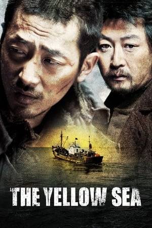 A Korean man in China takes an assassination job in South Korea to make money and find his missing wife. But when the job is botched, he is forced to go on the run from the police and the gangsters who paid him.