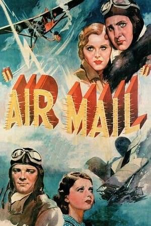 A group of air mail pilots risk their lives to deliver important mail through bad weather conditions.