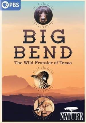 Roam the Wild West frontier land of the Rio Grande’s Big Bend alongside its iconic animals, including black bears, rattlesnakes and scorpions.