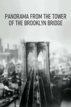 Filmed from the Brooklyn tower of the bridge, this is a panorama starting at Manhattan's Battery and then panning northward along the East River shoreline. Reportedly filmed somewhere between 1897 - 1899, though not copyrighted until 1903.