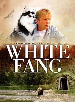 White Fang was a 1993 television series loosely based on a novel by Jack London. During its single season 26 episodes were produced. It tells the story of young Matt Scott who adopts a wolf/dog named Fang who continually saves him from bad situations.