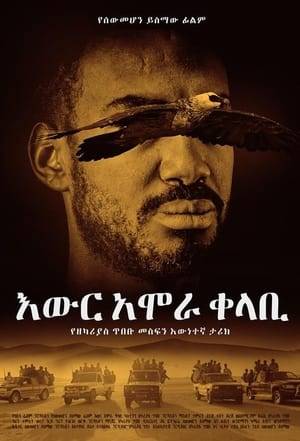 Based on a true story, this film chronicles the life of Major Tibebu Mesfin, who worked for the Dergue Regime in Ethiopia. This unpredictable adventure tells the story of how far one man will go to fulfill his destiny.