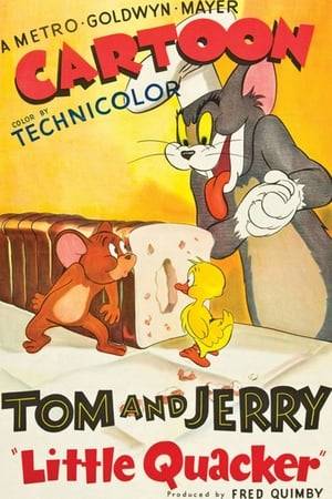 Tom steals an egg from a mother duck's nest, but soon the resultant hatchling runs away from the cat and into a mouse hole, where it finds an able protector in Jerry.