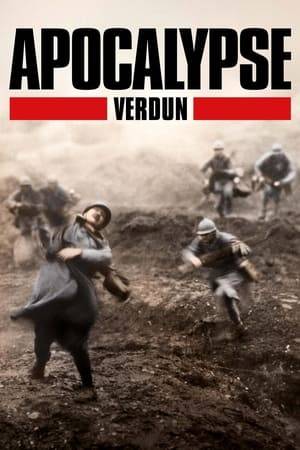 A detailed account of one of the bloodiest battles of World War I. Between February and December 1916, the French and German armies relentlessly fought in the devastated camps around the village of Verdun.