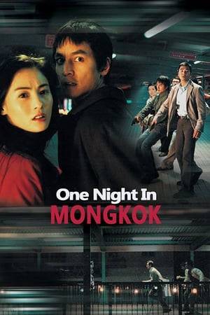 A gangster's son is accidentally killed during a drunken dispute with a rival gang, and Officer Milo's task force is assigned to the case. He soon learns that a hitman has been hired to take out the rival gang leader. While Milo and his crew desperately try to find and stop the hired gun, fearing all-out war in the streets, Lai Fu, a smart but inexperienced killer from a small town in the mainland, arrives in Hong Kong to do his job.