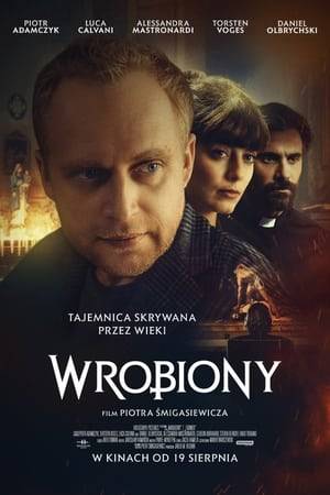 Dominik (Piotr Adamczyk), a PhD student at the University of Wrocław, specializing in the history of art, is sent to Porto Ercole by order of a professor (Torsten Voges) to collect material about the most mysterious period of Caravaggio's life. When he meets Silvia (Alessandra Mastronardi) and the local priest Paolo (Luca Calvani), he unexpectedly becomes part of a criminal intrigue, step by step discovering the carefully hidden secret of an inconspicuous town. It turns out that the world of art that Dominik has known so far is not what it might seem...