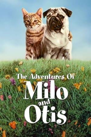 When Milo the cat and Otis the dog are separated, they each set off on an adventurous and often perilous quest across mountains, plains, and snow-covered lands to reunite with one another.