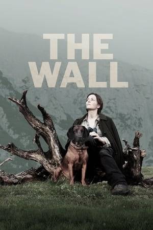 A woman inexplicably finds herself cut off from all human contact when an invisible, unyielding wall suddenly surrounds the countryside. Accompanied by her loyal dog Lynx, she becomes immersed in a world untouched by civilization and ruled by the laws of nature.