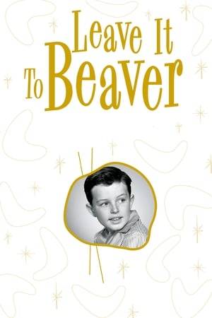 Leave It to Beaver is an American television situation comedy about an inquisitive and often naïve boy named Theodore "The Beaver" Cleaver and his adventures at home, in school, and around his suburban neighborhood. The show also starred Barbara Billingsley and Hugh Beaumont as Beaver's parents, June and Ward Cleaver, and Tony Dow as Beaver's brother Wally. The show has attained an iconic status in the US, with the Cleavers exemplifying the idealized suburban family of the mid-20th century.