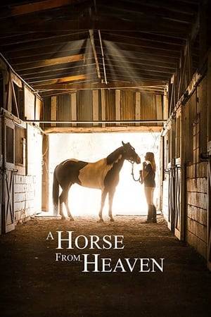 A troubled girl finds faith, hope, and healing through a relationship with a wounded horse.