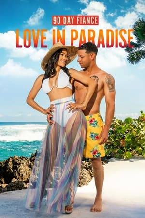 Surf, sand and seduction collide as couples who met in an island paradise attempt to join their vastly different lifestyles together and transform a flirty fling into a permanent passion.
