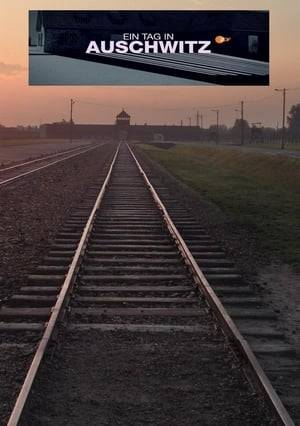 Today, the word "Auschwitz" is a synonym for the Holocaust. Thousands of Jews died there every day. With the help of some acted scenes, photos and graphics, the film tells of a day in May 1944. The starting point is a unique document: a photo album created by the SS perpetrators themselves. Almost all of the photos were taken at the end of May 1944, in just a few days. They show the cruel routine, the arrival of the victims, their "selection" on the ramp, the robbery of their property and the transformation of all those who were not immediately killed, into shaved, uniformed slaves. One survivor is Irina Weiss. On a photo she recognizes her little brothers and her mother - waiting unsuspectingly near the crematorium. The SS photographers captured all of this. Their identity is known today: one of them was Bernhard Walter, a "Stabsscharführer" who lived with his wife and three children near the extermination camp.