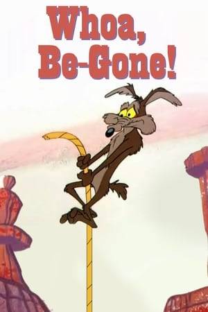 Wile E. Coyote's plans for catching the Road Runner involve a giant elastic spring, a gun and trampoline, TNT sticks in a barrel, and tornado seeds.