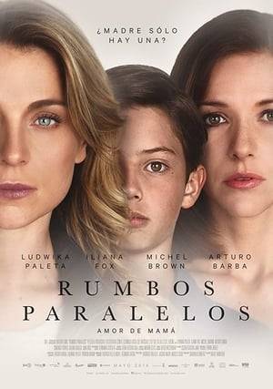 Gaby, Fer's mother and Silvia, Diego's mother, live their lives happily, until one day, due to Diego's kidney disease they find out that the kids were switched at birth. In order to save Diego’, both mothers end up in a legal battle to see who will have the custody of which kid.