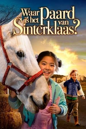 In the sequel to "Winky's Horse", 8-year old Winky looks after the horse of St Nicholas. Then one day the horse runs away.