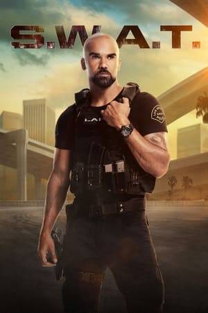 A locally born and bred S.W.A.T. lieutenant is torn between loyalty to the streets and duty to his fellow officers when he's tasked to run a highly-trained unit that's the last stop for solving crimes in Los Angeles.