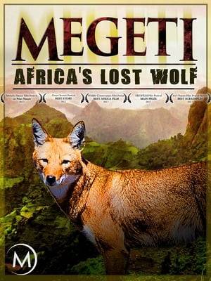 This film tells the dramatic story of Megeti, a lone wolf who wanders across the highlands on a quest to find a new home after losing her pack and suddenly being left to fend for herself. For the young wolf to survive, it is vital that she finds a new family and this quest pushes her into foreign territory, occupied by cattle breeders and other wolves.