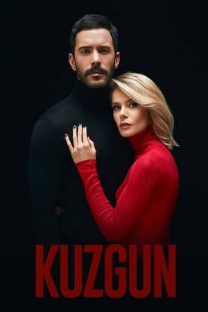 Kuzgun's family life changes completely as a result of the caliper held against his father, who is a police. Kuzgun will fall into a bondage, pain, anger, and struggle that will last 20 years.
