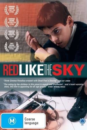 A nearly sightless boy is sent to a school for blind children, where he secretly discovers the possibilities of the recorded sound.