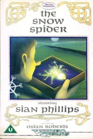 On his ninth birthday, young Gwyn (Osian Roberts), who lives on a remote hill farm in Wales, receives five strange gifts from his grandmother (Siân Phillips): a piece of seaweed, a yellow scarf, a tin whistle, a metal brooch and a small broken horse. Gwyn offers the brooch to the wind and receives back a tiny silvery spider - Arianwen, the snow spider - confirming that, as his grandmother had already guessed, he has inherited magical powers from his Celtic ancestor Gwydyon, a powerful magician whose exploits are described in the fourth book ("Math Son of Mathonwy") of the Mabinogion. With the help of the snow spider, Gwyn embarks on adventures involving other worlds of snow and silver, as he attempts to solve the five-year-old mystery of his sister Beth's disappearance in a snow storm.