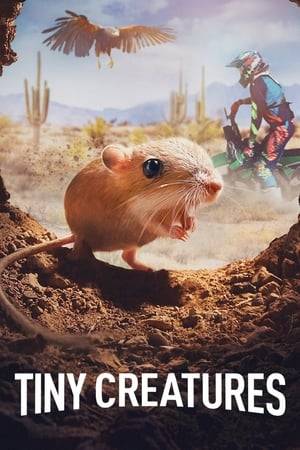 Little animals embark on big adventures across the U.S. in a dramatic nature series that explores their hidden worlds and epic survival stories.