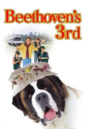 Everyone's favorite St. Bernard returns in this family film about man's best friend. Richard Newton, his wife Beth and kids Brennan and Sara shove off in their camper for a road trip. Along the way, they gain a new passenger: slobbery Beethoven. The Newtons plan to return Beethoven to his owner -- but not before he turns hero when a pair of thieves enter the picture.