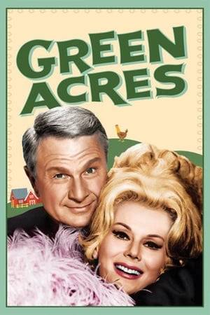 Green Acres is an American sitcom starring Eddie Albert and Eva Gabor as a couple who move from New York City to a rural country farm. Produced by Filmways as a sister show to Petticoat Junction, the series was first broadcast on CBS, from September 15, 1965 to April 27, 1971.

Receiving solid ratings during its six-year run, Green Acres was cancelled in 1971 as part of the "rural purge" by CBS. The sitcom has been in syndication and is available in DVD and VHS releases. In 1997, the two-part episode "A Star Named Arnold is Born" was ranked #59 on TV Guide's 100 Greatest Episodes of All Time.