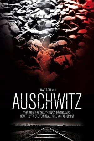Auschwitz is a hard-hitting war film which shows life as it really was at the death camp.