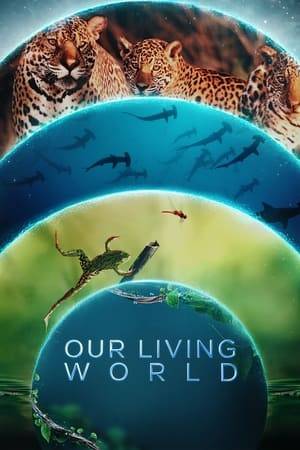This stunning nature series narrated by Cate Blanchett explores the intelligence, resourcefulness and interconnectedness of life on our planet.