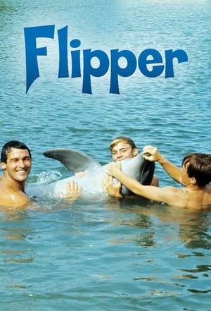 Flipper, from Ivan Tors Films in association with Metro-Goldwyn-Mayer Television, is an American television program first broadcast on NBC from September 19, 1964, until April 15, 1967. Flipper, a bottlenose dolphin, is the companion animal of Porter Ricks, Chief Warden at fictional Coral Key Park and Marine Preserve in southern Florida, and his two young sons, Sandy and Bud. The show has been dubbed an "aquatic Lassie", and a considerable amount of juvenile merchandise inspired by the show was produced during its first-run.
