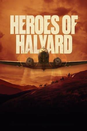 A story inspired by the largest single rescue mission of downed Allied airmen behind enemy lines in aviation history of all time, codenamed “The Halyard Mission”. This action took place in the summer of 1944. It was led by the Yugoslav Army in the Fatherland that was headed by General Dragoljub “Draža” Mihailović. It was at great cost and sacrifice that the Serbian people saved 508 American and other Allied countries’ airmen from certain death, sending them off to safety from the improvised airfield in the Serbian village of Pranjani, at the foot of Mt Suvobor.