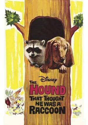 One of multiple Walt Disney adaptations from Rutherford Montgomery stories.