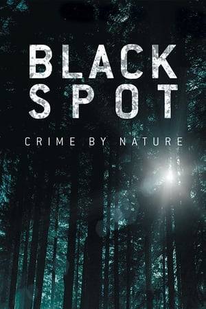 In the small bordertown of Villefranche, lost in the heart of a large forest, crime rate is six times higher than elsewhere in the area. Each new crime Major Laurène Weiss solves with the help of her unusual team makes her sink deeper and deeper into secrets of the area.