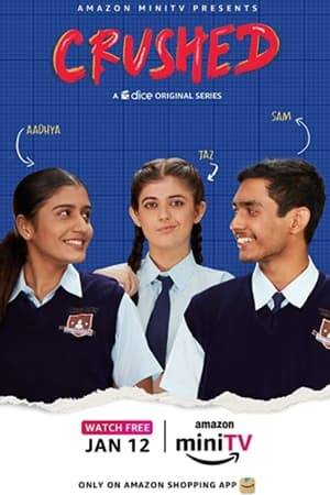 Samvidhan a.k.a Sam and Aadhya, two sidekicks, have always lived in the shadows of their popular best friends and gone completely unnoticed in Lucknow Central Convent school. Until the two of them finally take notice of each other, albeit under awkward and unusual circumstances, and a surprisingly easy friendship begins. For the first time in their lives, they feel like they belong. But will falling in love be as easy, and for how long can two sidekicks remain heroes of their own love story, before insecurities, changing dynamics and growing pains get the better of them?