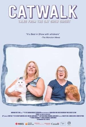 Meet the fascinating felines and the people who pamper then in this whimsical look at the ins and outs of Canada's competitive cat show circuit, where the claws come out when a Turkish Angora and an adorable fluffy red Persian face off to take home the national award for Best in Show.