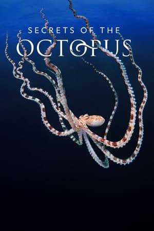 Octopuses are like aliens on Earth: three hearts, blue blood and the ability to squeeze through a space the size of their eyeballs. But there is so much more to these weird and wonderful animals. Intelligent enough to use tools or transform their bodies to mimic other animals and even communicate with different species, the secrets of the octopus are more extraordinary than we ever imagined.