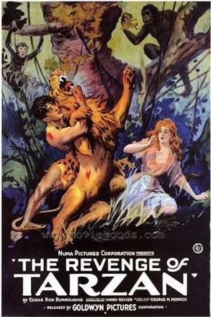 Tarzan and Jane are traveling to Paris to help his old friend Countess de Coude, who is being threatened by her brother, Nikolas Rokoff. Rokoff has Tarzan tossed overboard. He survives, comes ashore in North Africa, and goes to Paris to search for Jane.  In Paris, Tarzan reunites with his old friend Paul D'Arnot, who informs him that Jane was taken to Africa.  Tarzan returns just in time to save Jane from a lion attack, and soon defeats Rokoff and his henchmen.