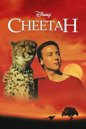An American boy and girl, spending six months in Kenya with their scientist parents adopt a cheetah, only to realize that they must set it loose so that it can learn to hunt and be free. However, when the animal is captured by poachers planning to race it against greyhounds, the two city kids, together with a young African goat herder they befriended, head off into the wild to rescue the cheetah.
