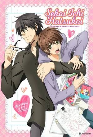 Sekaiichi Hatsukoi follows three couples that are interconnected within the manga industry, with each being subject to the budding of first love.