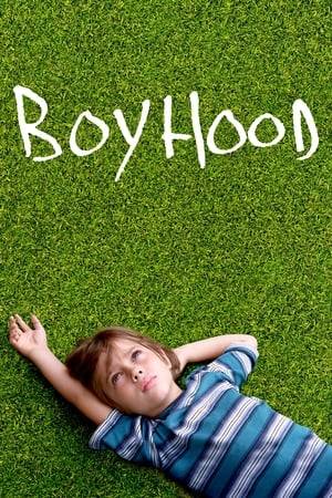 The film tells a story of a divorced couple trying to raise their young son. The story follows the boy for twelve years, from first grade at age 6 through 12th grade at age 17-18, and examines his relationship with his parents as he grows.