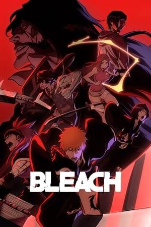 For as long as he can remember, Ichigo Kurosaki has been able to see ghosts. But when he meets Rukia, a Soul Reaper who battles evil spirits known as Hollows, he finds his life is changed forever. Now, with a newfound wealth of spiritual energy, Ichigo discovers his true calling: to protect the living and the dead from evil.