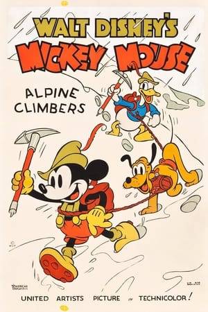Donald, Mickey, and Pluto climb the Alps. While up top, Donald has a run-in with a mountain goat over some edelweiss, Mickey has a row with an eagle over its eggs; one of them hatches, and gives Pluto some trouble (as does the grog a Saint Bernard gives him when he falls into a snowbank).