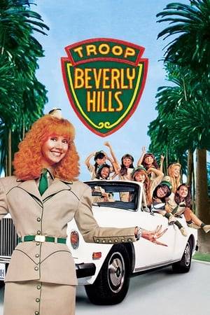 A Beverly Hills housewife in the middle of a divorce tries to find focus in her life by taking over her daughter's Wilderness Girls troop.