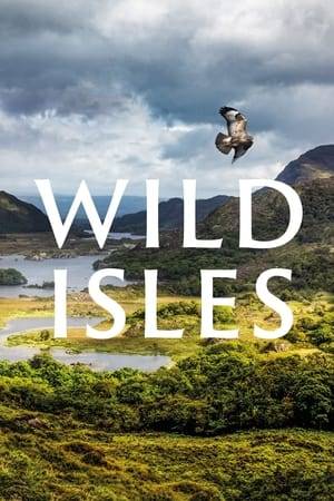 This nature documentary introduces viewers to the fauna and flora of Britain and Ireland across four main areas: woodlands, grasslands, freshwater and marine.