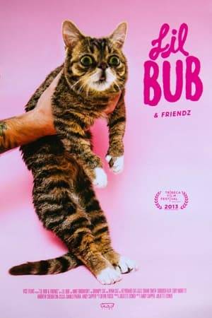 Called “the most famous cat on the Internet,” the wide-eyed perma-kitten Lil Bub is the adorable embodiment of the Web’s fascination with all things cats. Join Lil Bub and her owner on wild cross-country romp as they meet the Internet’s most famous cat-lebrities. Chock full of adorable kitties, hilarious videos and the dedicated cat enthusiasts who love them, Lil Bub &amp; Friendz is a fun and hip peek behind the memes we know and love. Includes Mike "The Dude" Bridavsky, Ben Lashes, Grumpy Cat, Nyan Cat, Keyboard Cat.