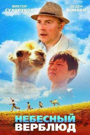 When his father sells their baby camel Altynka, his mother, Mara, escapes to be find her calf. Her disappearance is a potential disaster for the family so eldest son, Bayir, takes off to retrieve her. What follows is part road movie, part coming-of-age as Bayr adventures across the Kalmyk steppe.