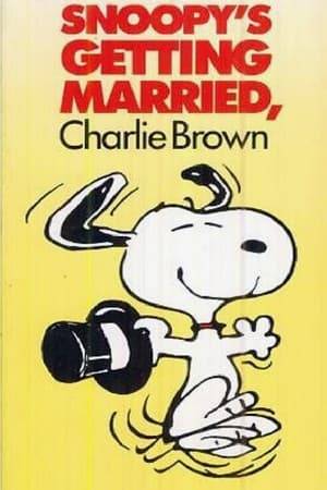 After Snoopy displays his usual level of courage and runs away from his sentry duty, he happens to run into a beautiful female. Smitten, he decides to marry her. Now, the gang, and Snoopy's brother, Spike, want to help in an affair that has the usual complications