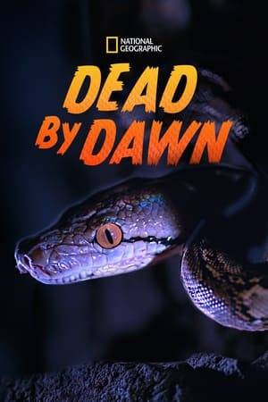 Dead by Dawn is the first ever horror nature series. This genre bending series showcases the horror that is reality in the wild when the sun goes down.