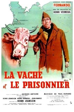 In 1942, a French prisonner of war in Germany decide to escape to France using a cow hold by a lunge as a decoy. He cross all Germany in this way.